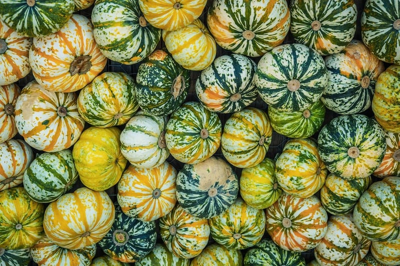 Shade-loving Varieties