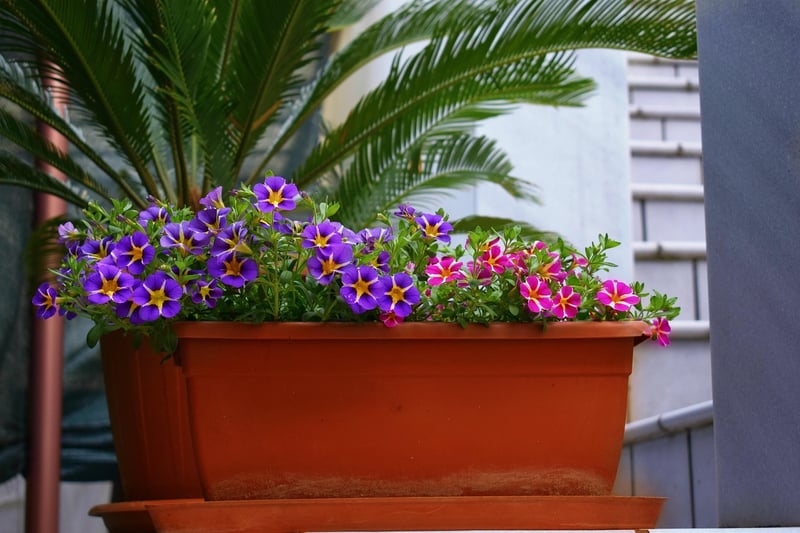 Pallet Planter